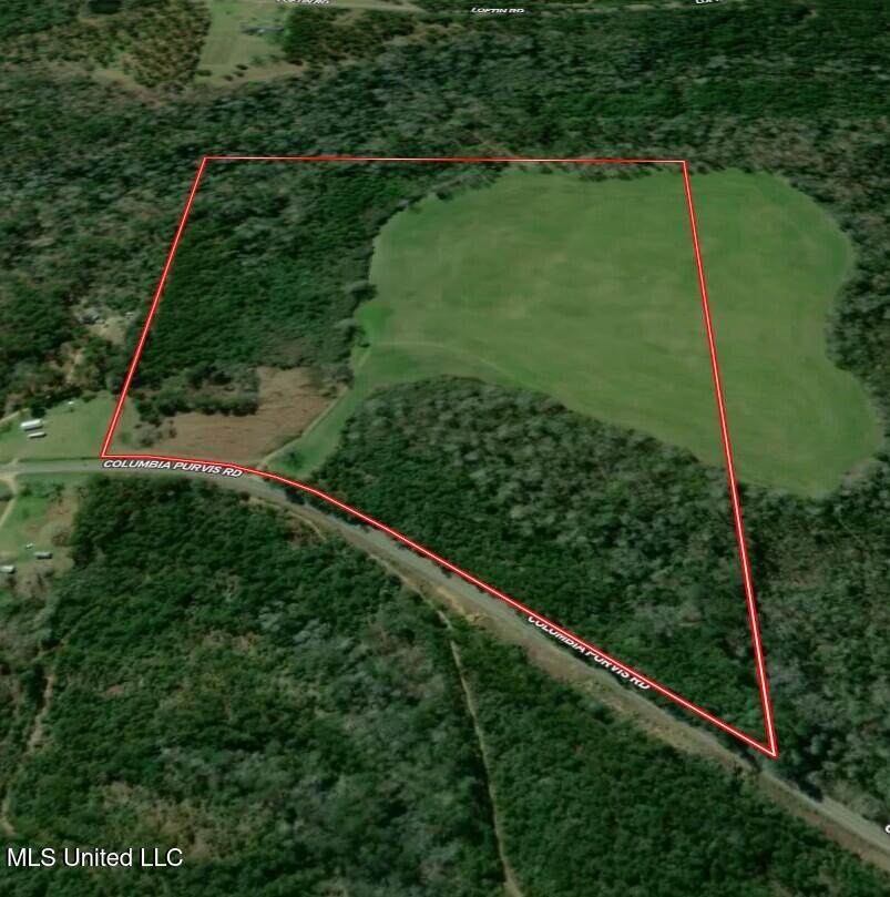 821 Columbia Purvis Road - Photo 1