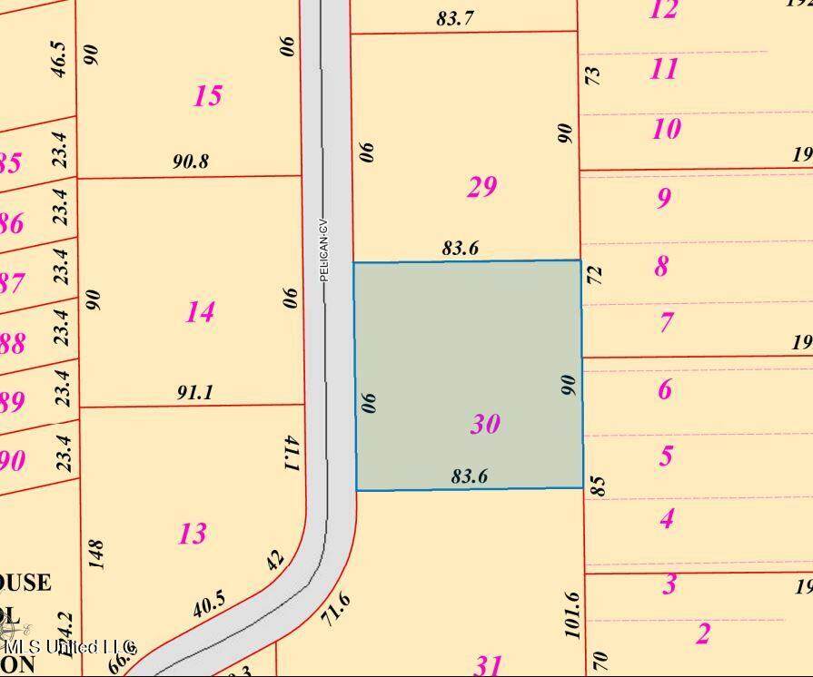  Pelican Cove Lane - Photo 1