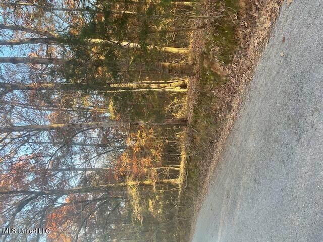  Dogwood Ranch Cir - Photo 1