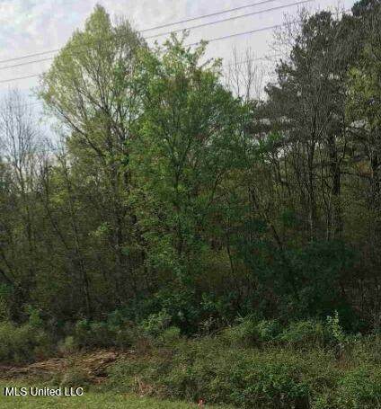 0 Highway 80 - Photo 1