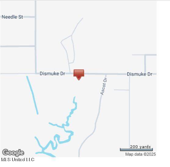 15311 Dismuke Avenue - Photo 1