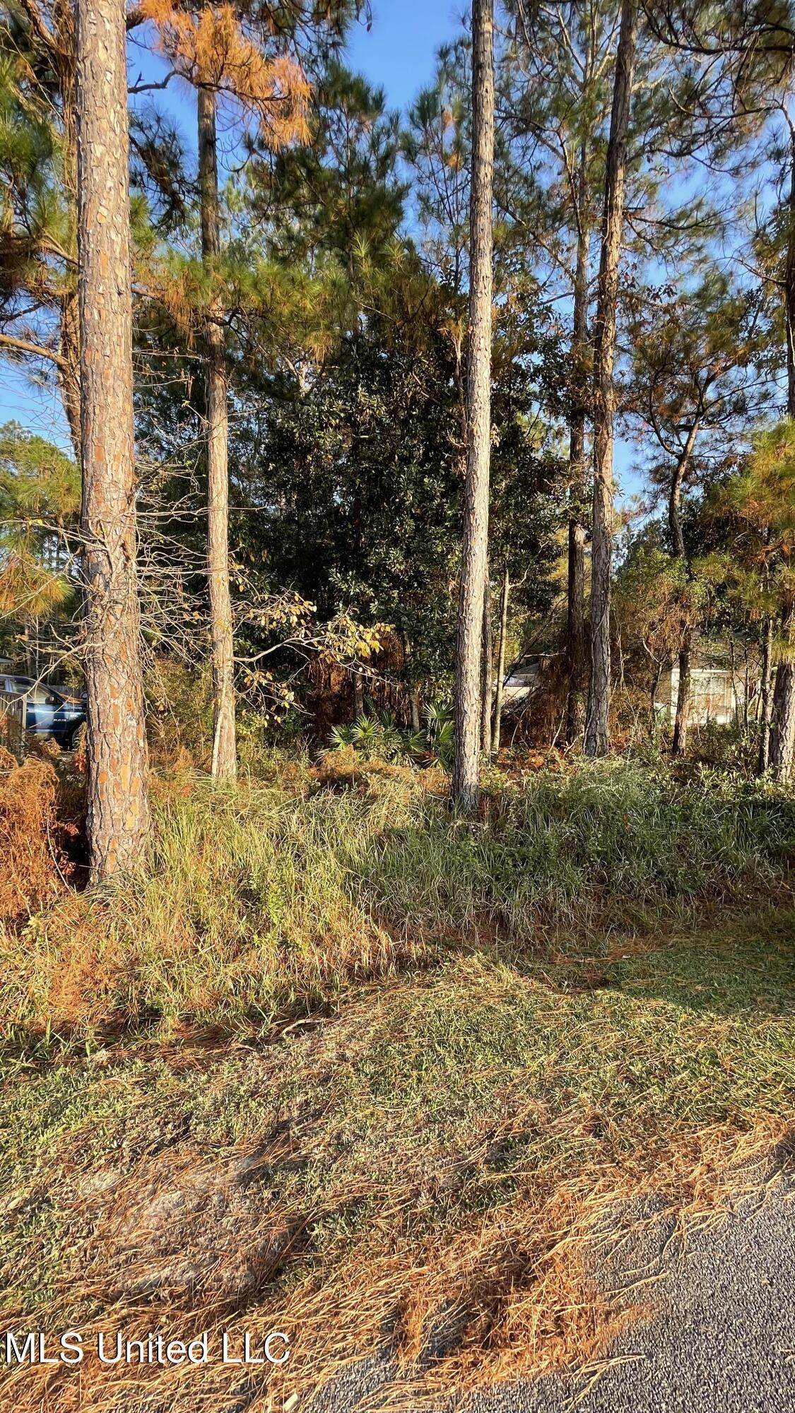  Exchange Street - Photo 1