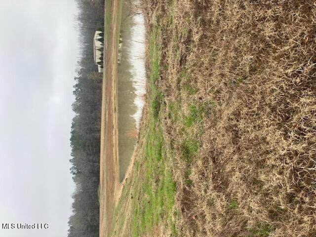 1127 Breedlove Road - Photo 1