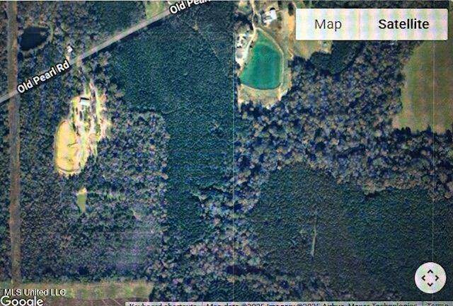 00 Old Pearl Road - Photo 1