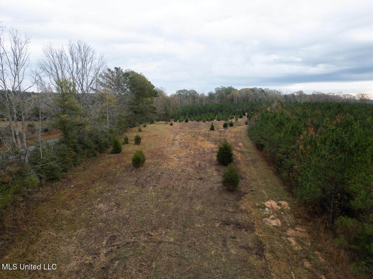 3448 Lower Centreville Road - Photo 1
