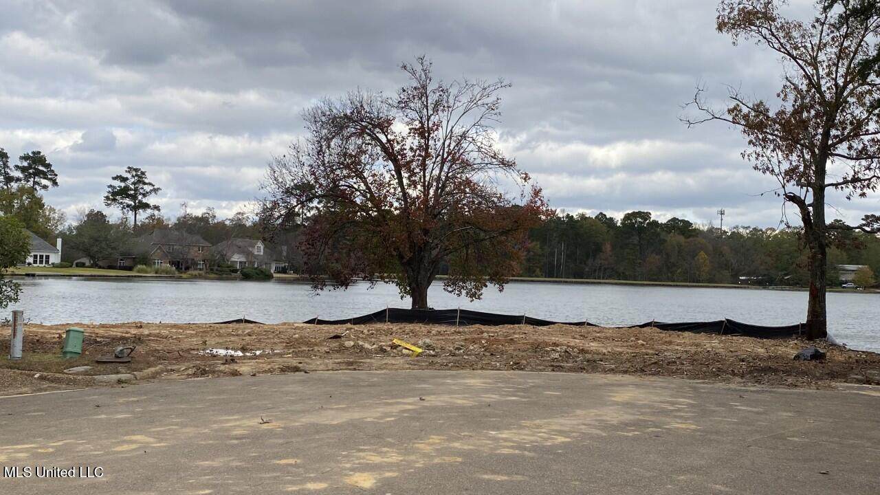 7 Spring Lake Point - Photo 1