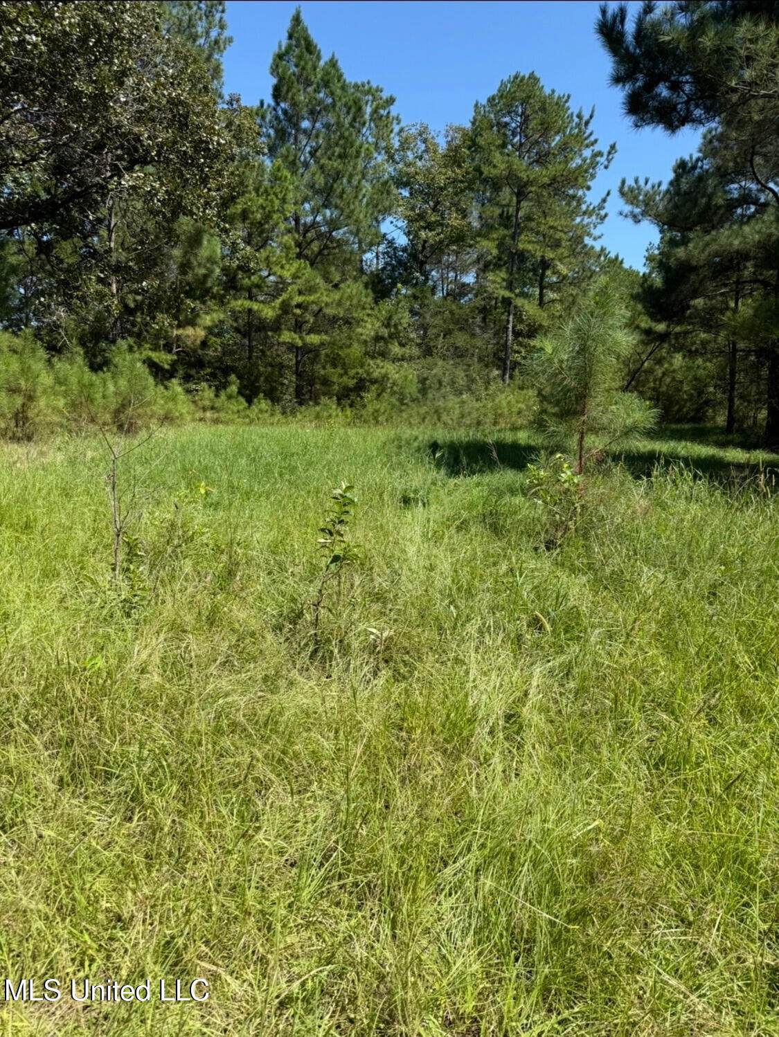  County Road 1113 - Photo 1