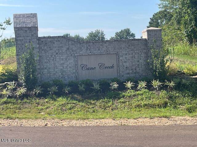 1611 Cane Creek Drive - Photo 1