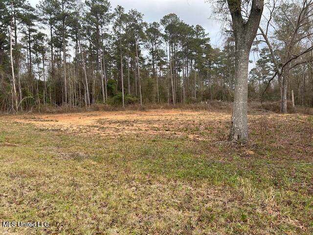 1028 Chester Reeves Road - Photo 1