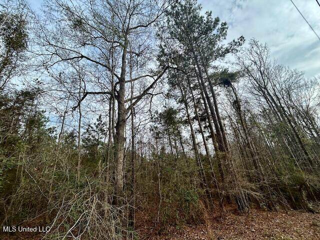  Lee Drive - Photo 1