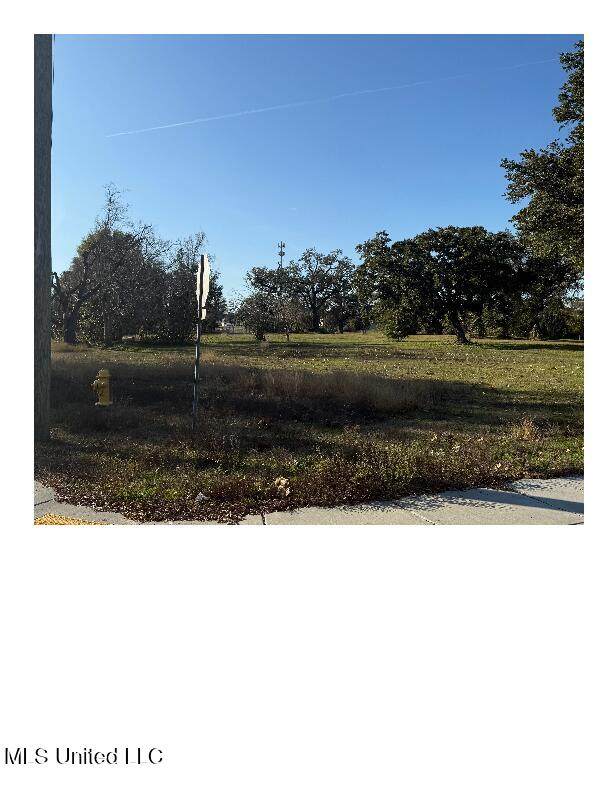 119 1st Street - Photo 1