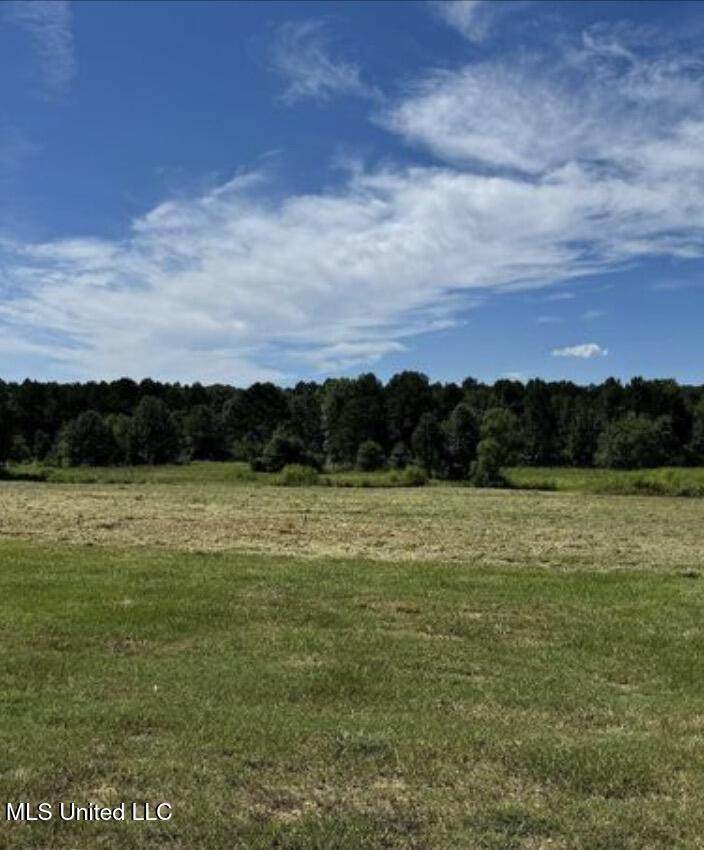 547 Clark Stables Road - Photo 1