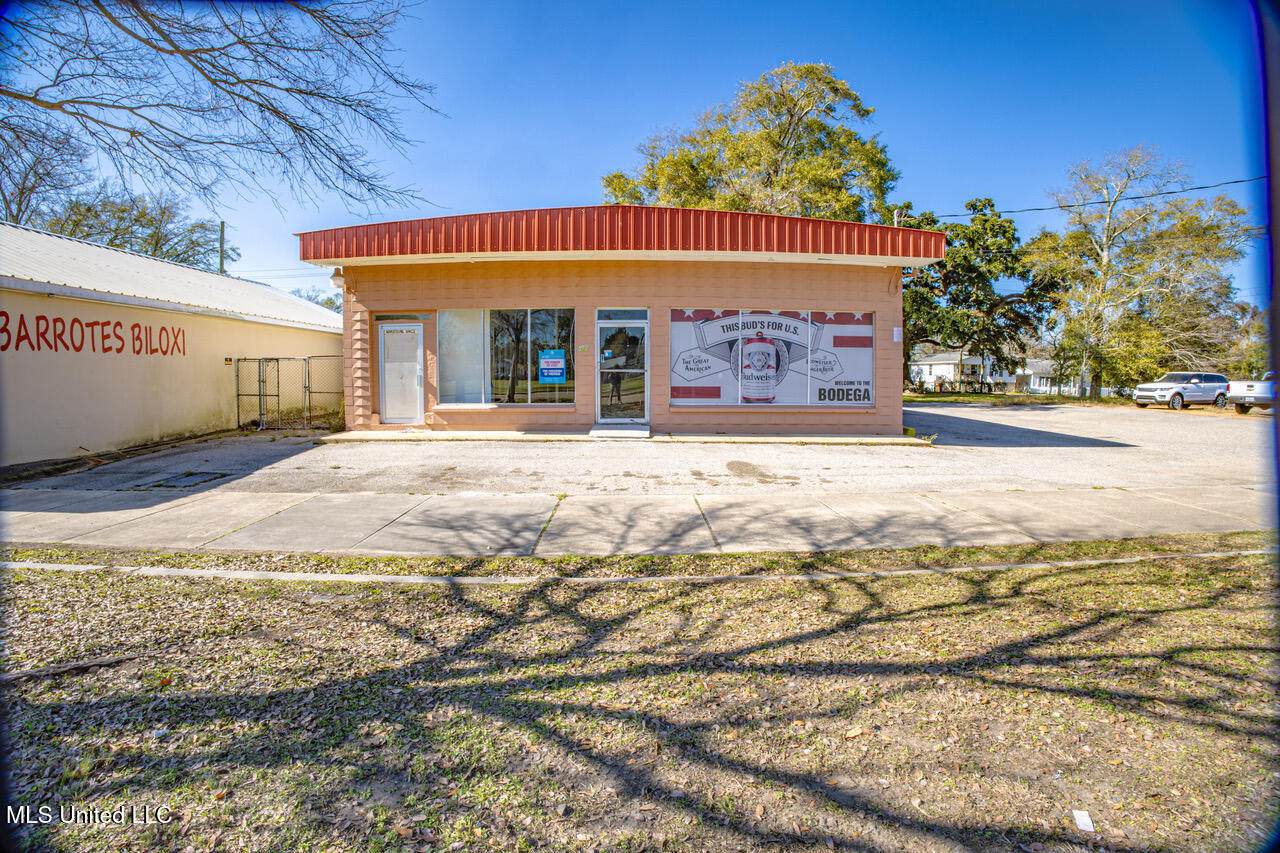 319 Caillavet Street - Photo 1