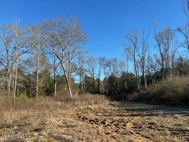 8127 Magnolia Holmesville Road - Photo 1
