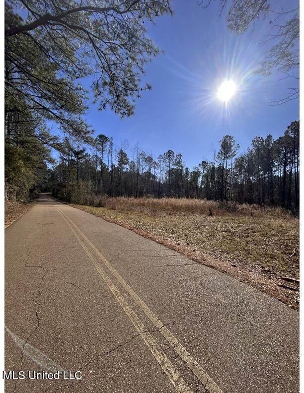  Poplar Springs Road - Photo 1