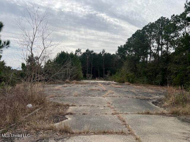 6271 Lower Bay Road - Photo 1