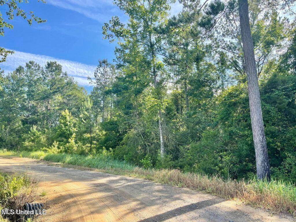 1.62 Acres Ferrell Lane - Photo 1