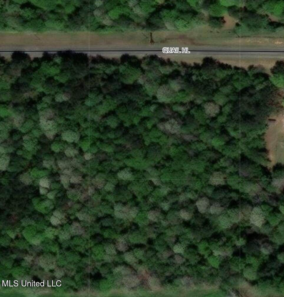 0 Quail Hill Road - Photo 1
