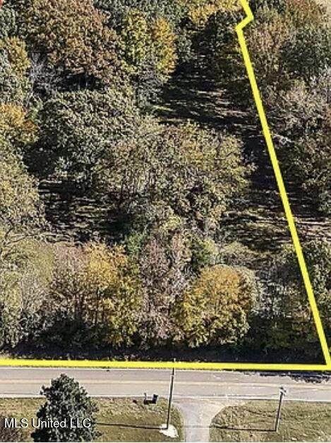  Douglas Rd - Photo 1