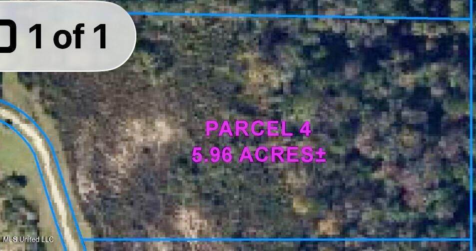 Parcel 4 R Thompson Road - Photo 1