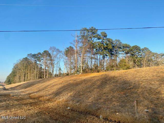  Marilyn Butler Dr Drive - Photo 1