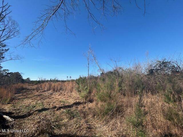  Robert Jones Road - Photo 1