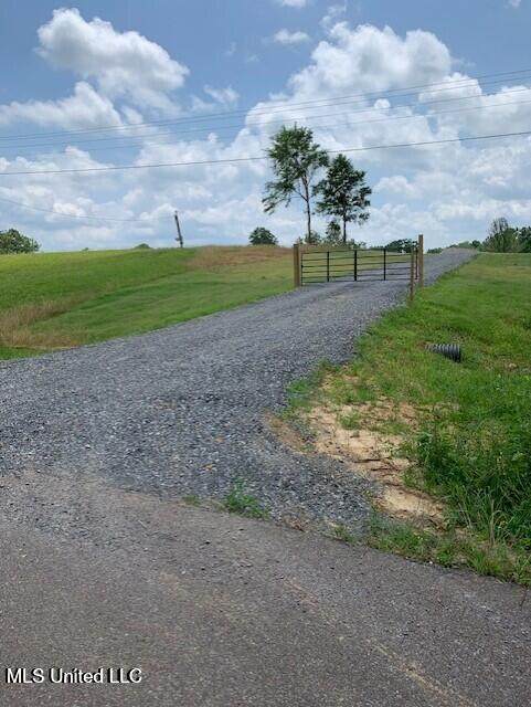 12239 Old Byhalia Road - Photo 1