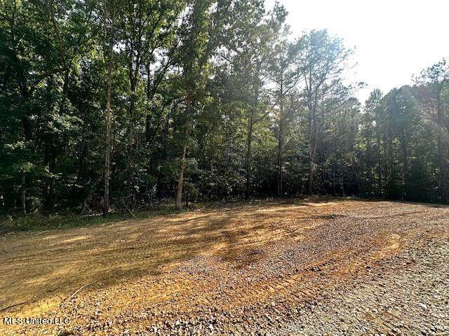 13999 Davenport Road - Photo 1