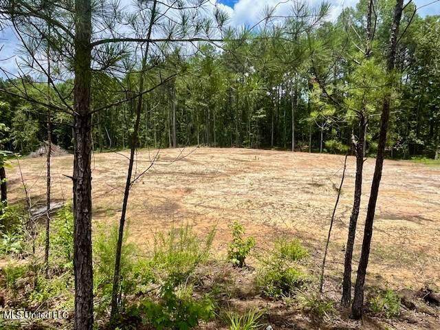 278 Poplar Springs Road - Photo 1