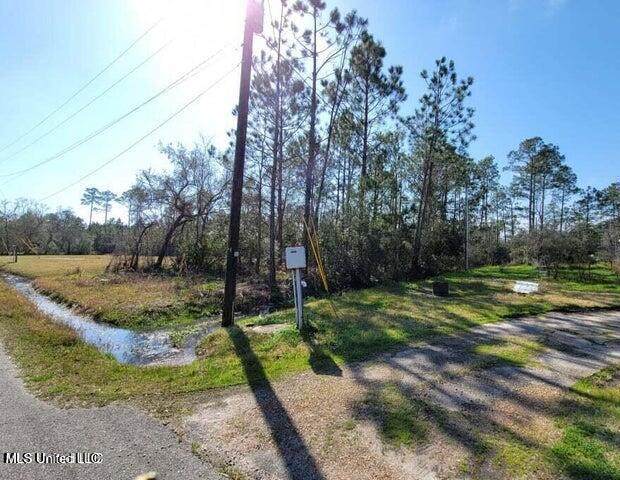 10175 River Drive - Photo 1