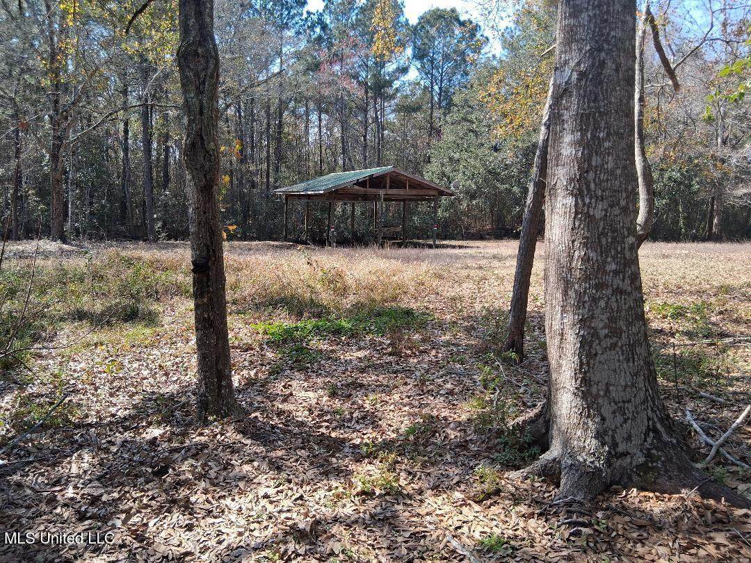 2498 Bayou Oaks Street - Photo 1