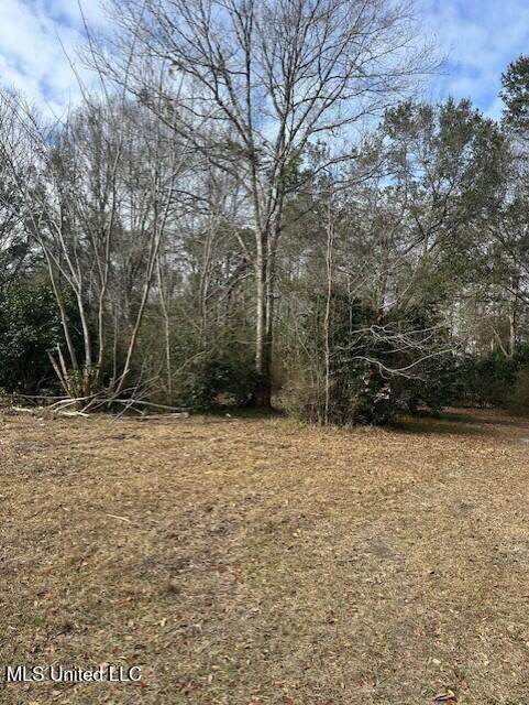  Ms 53 Lot 1 - Photo 1