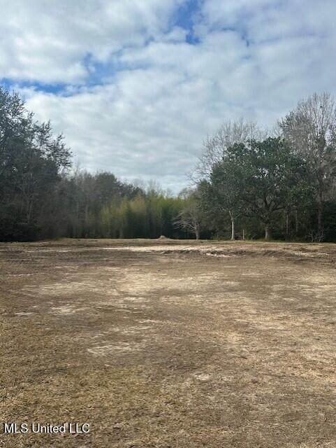  Ms 53 Lot 2 - Photo 1