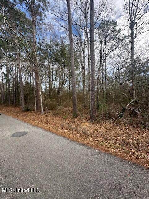  Ms 53 Lot 4 - Photo 1