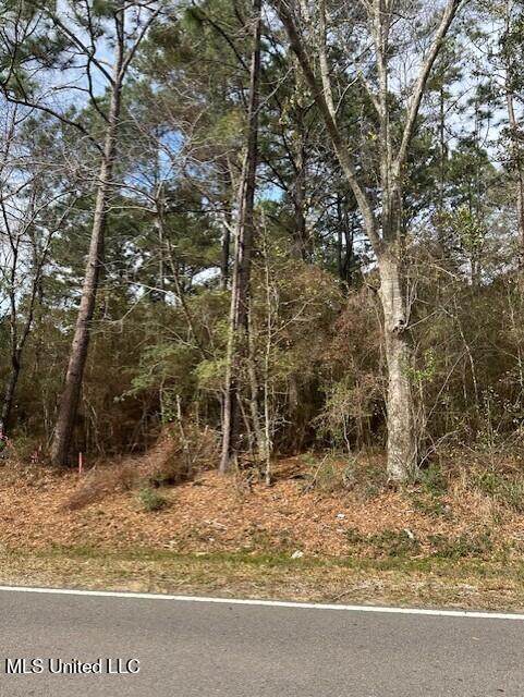 Ms 53 Lot 14 - Photo 1