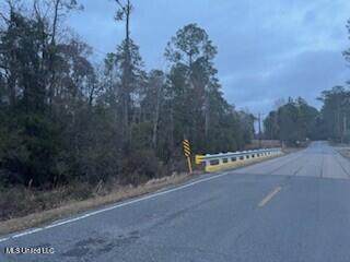  Paige Bayou Road - Photo 1