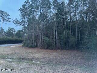 Rouses Marina Road - Photo 1