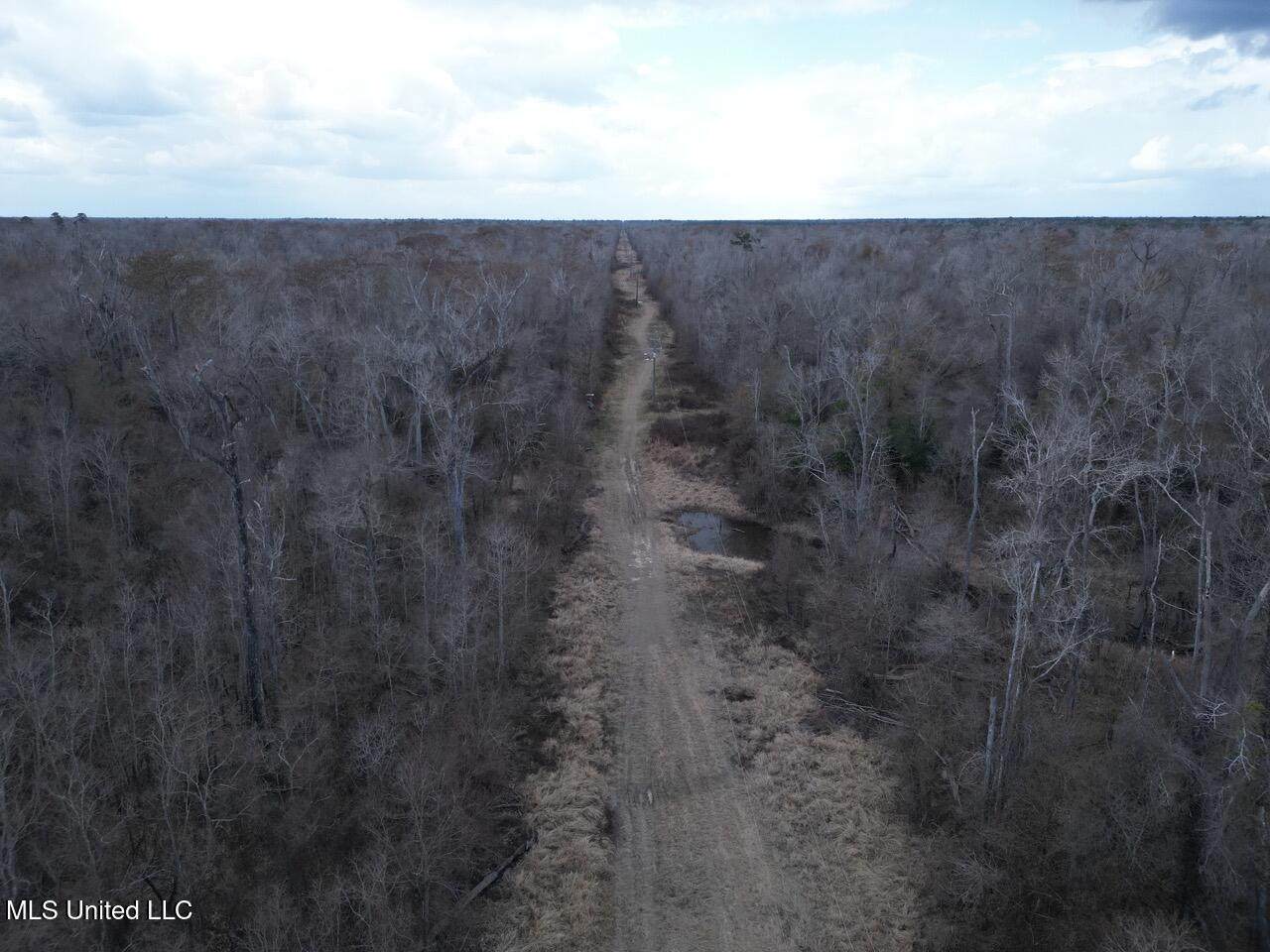 2599 Martin Tram Road - Photo 1
