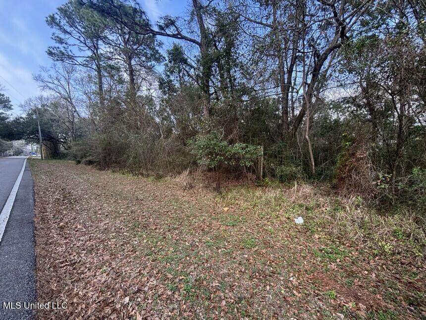 624 Old Spanish Trail - Photo 1