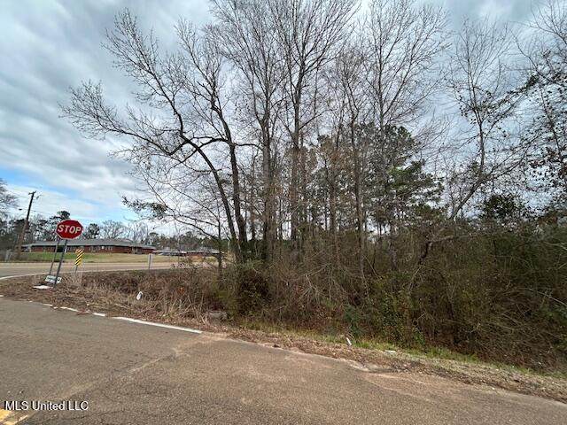  Oak Street - Photo 1