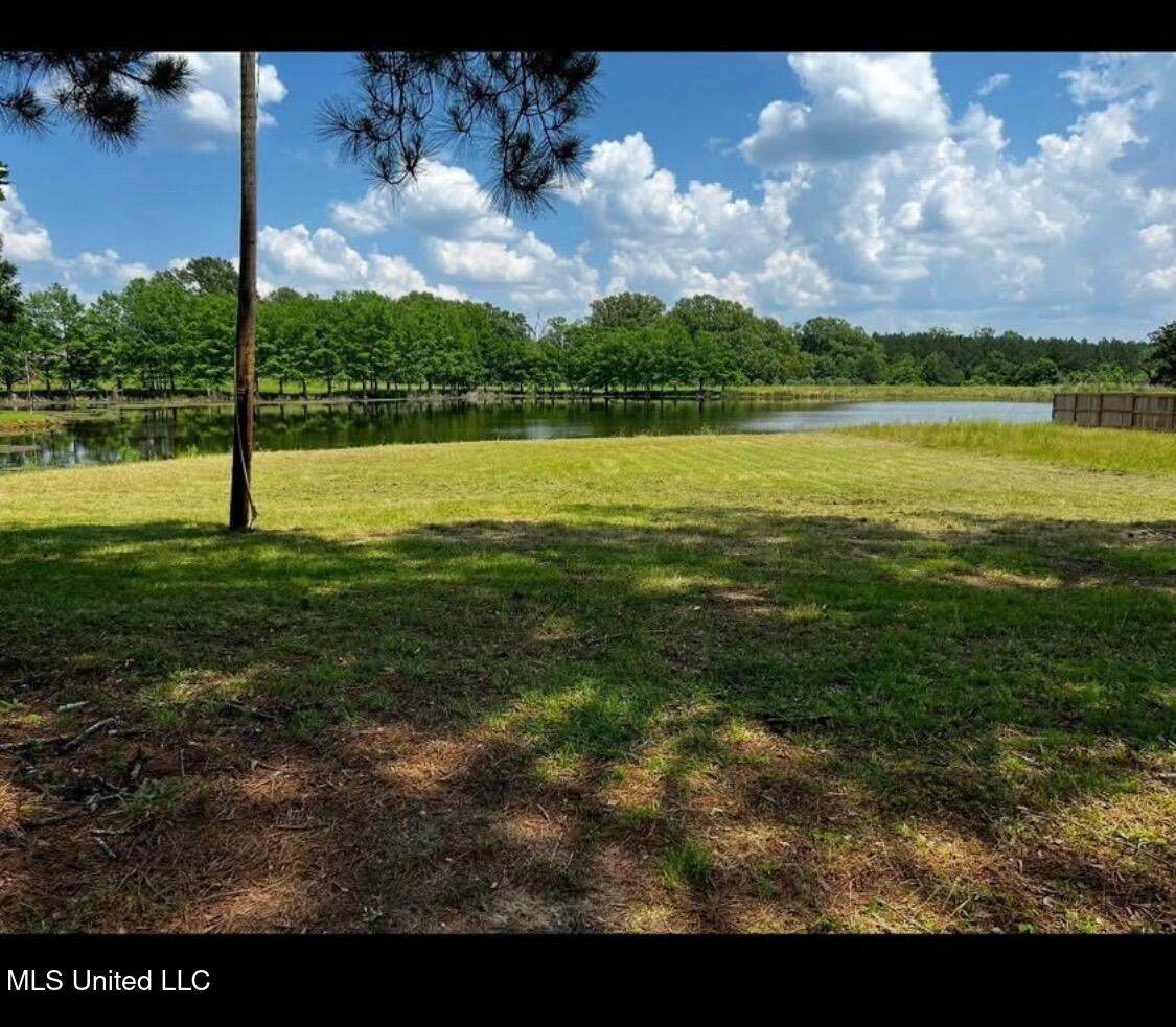 98b Cotton Acres Drive - Photo 1
