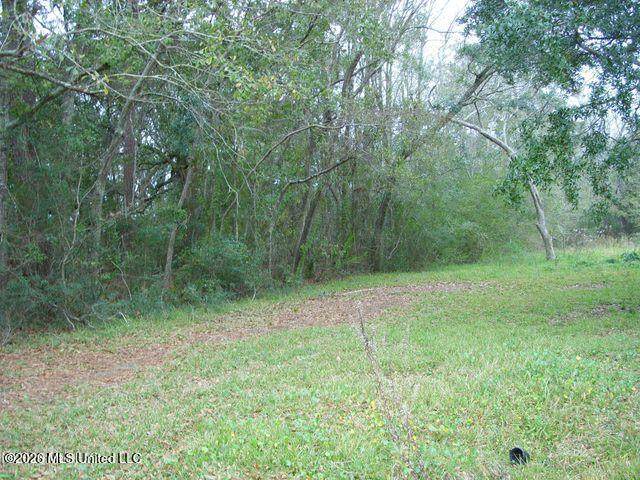 5818 Elder Ferry Road - Photo 1