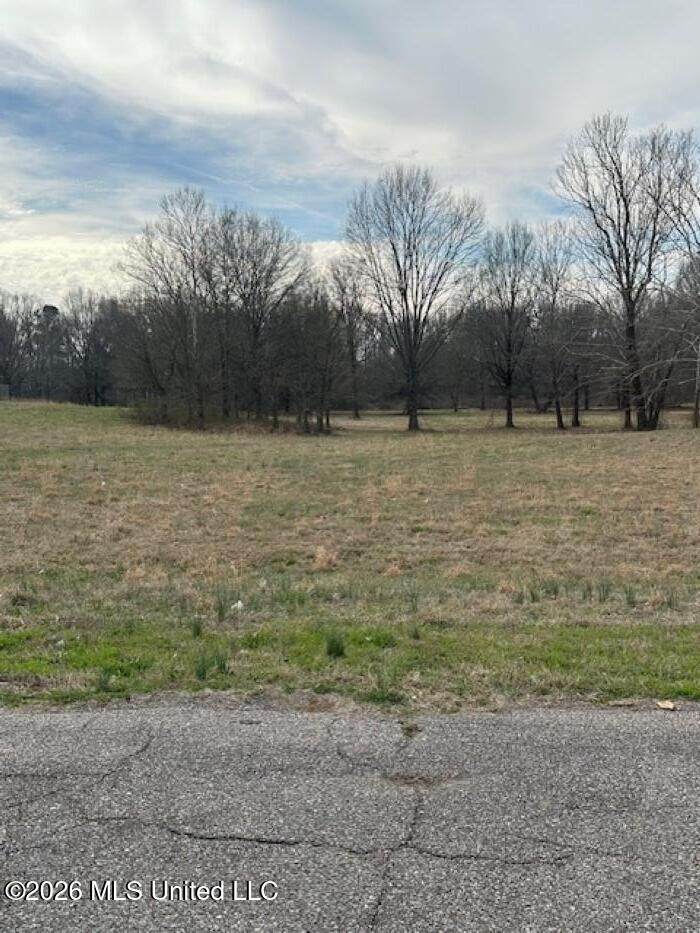  Alden Lake Dr. - Photo 1