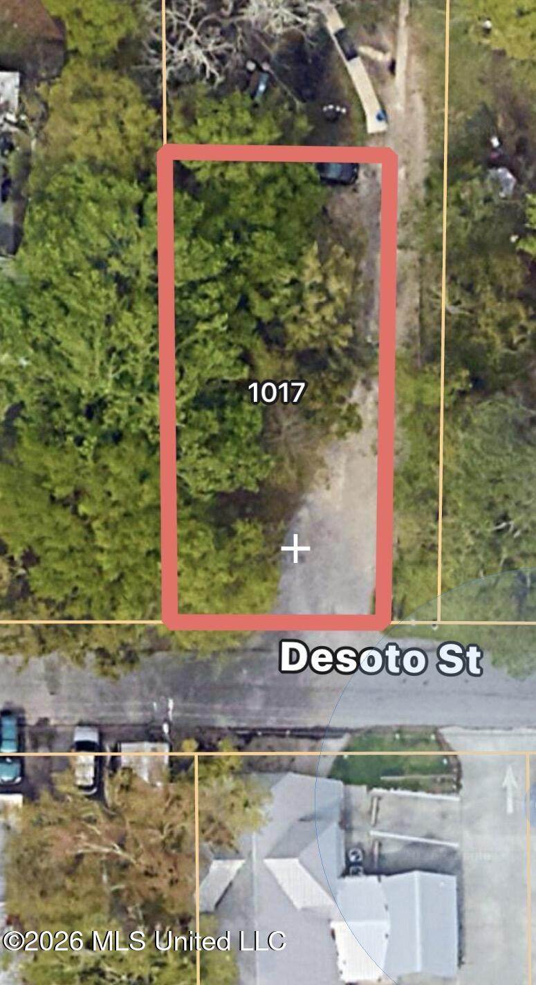 1017 Desoto Street - Photo 1