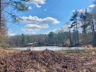 Lot 12 Turkey Creek Road - Photo 1