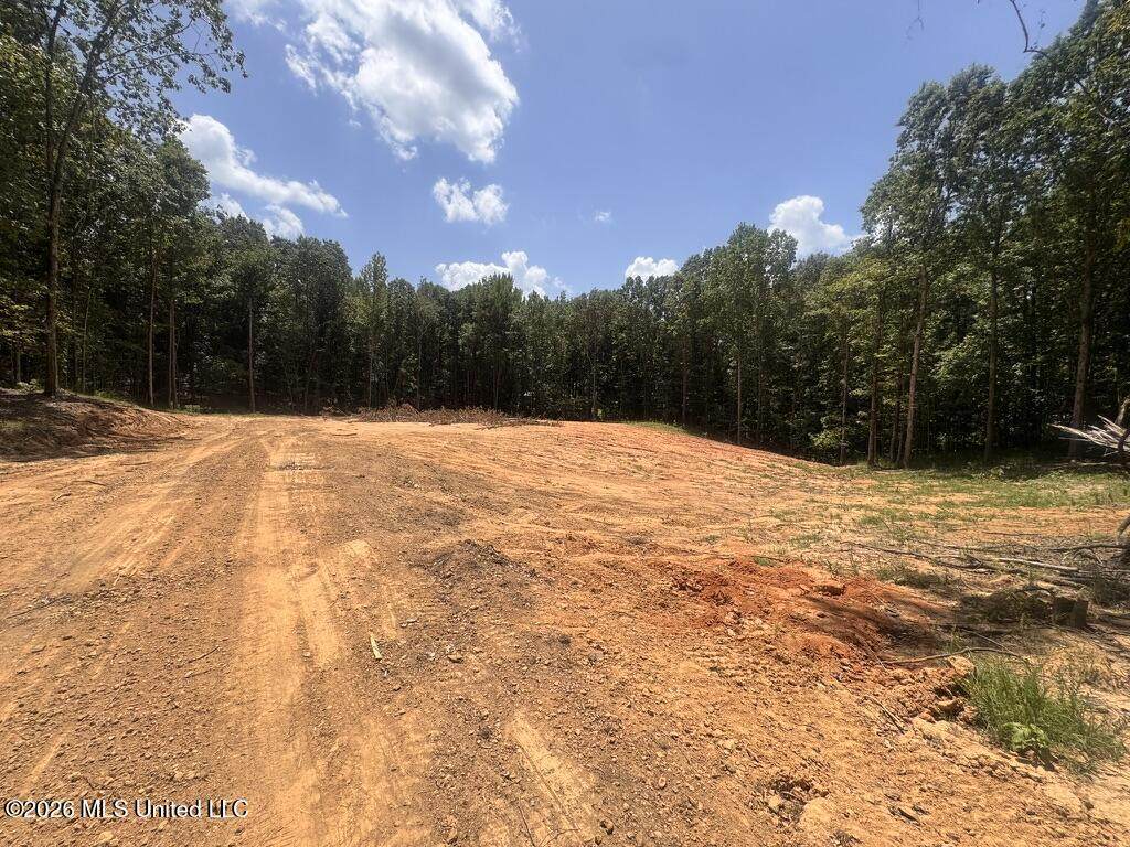 75 Leonard Lane - Photo 1