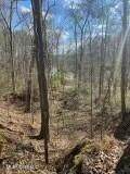  Turkey Creek Road - Photo 5