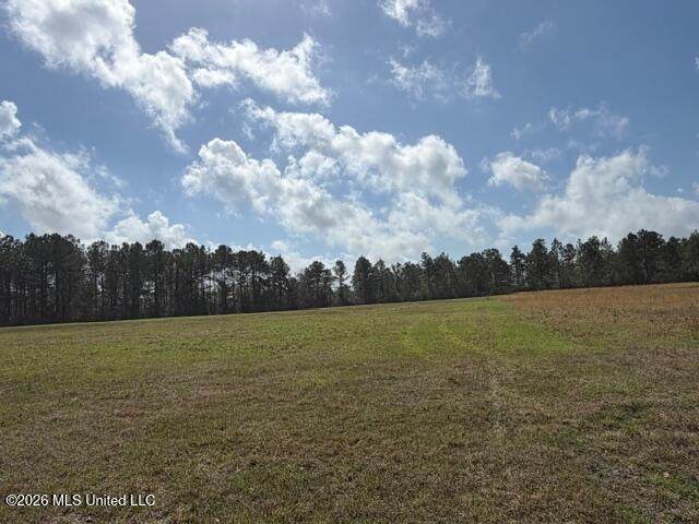  Hwy 26 - Photo 1