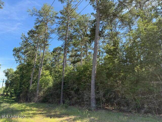 2 Acres Hwy 49 - Photo 1