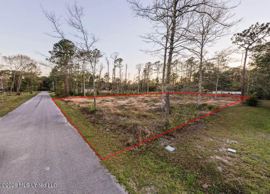 000 Dorothy Street - Photo 1
